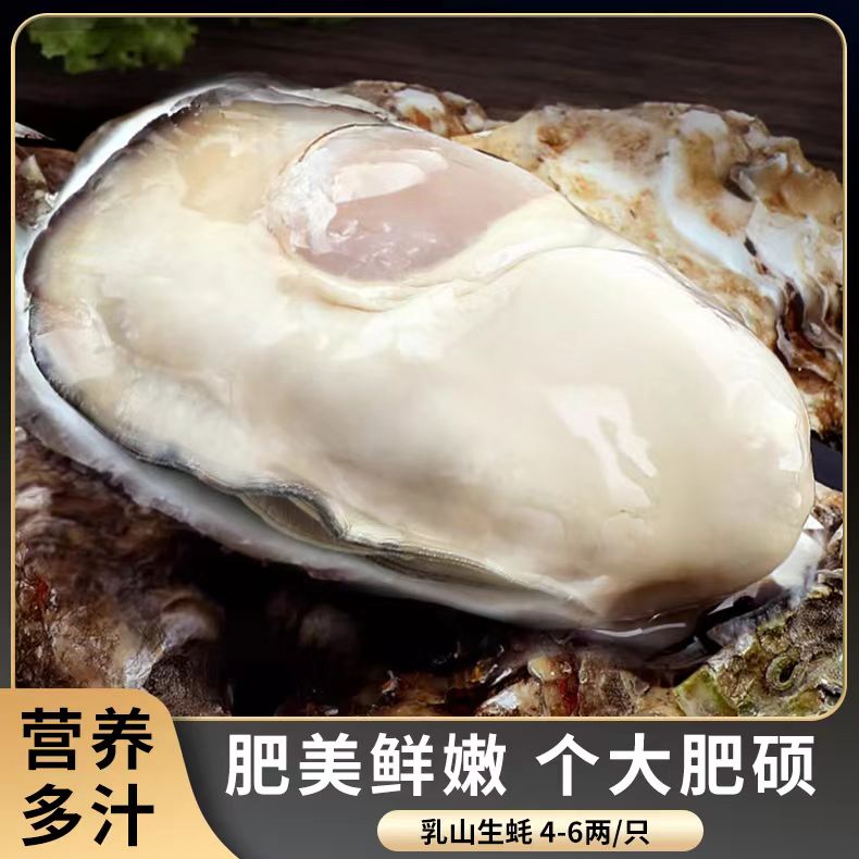 秒杀1000单！乳山生蚝 5XL特大号5.5斤装 顺丰冷链（带官方溯源防伪标识、死