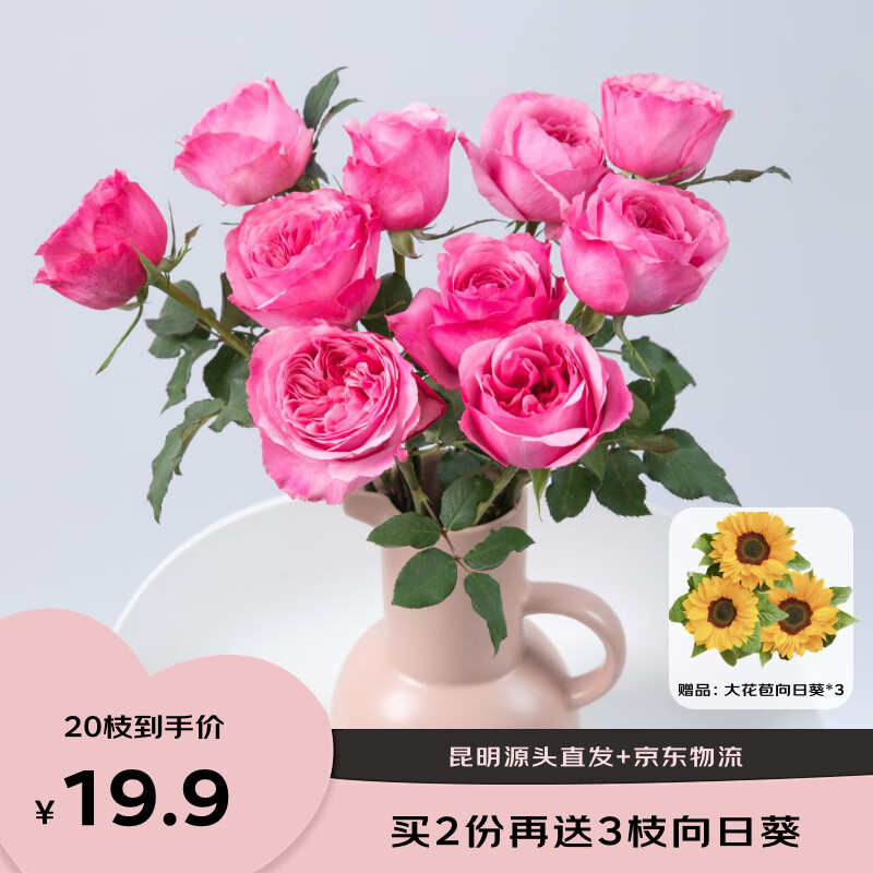 京东鲜花 源头直发昆明基地玫瑰花买10枝送10枝共20枝颜色03 19.8元（需用券