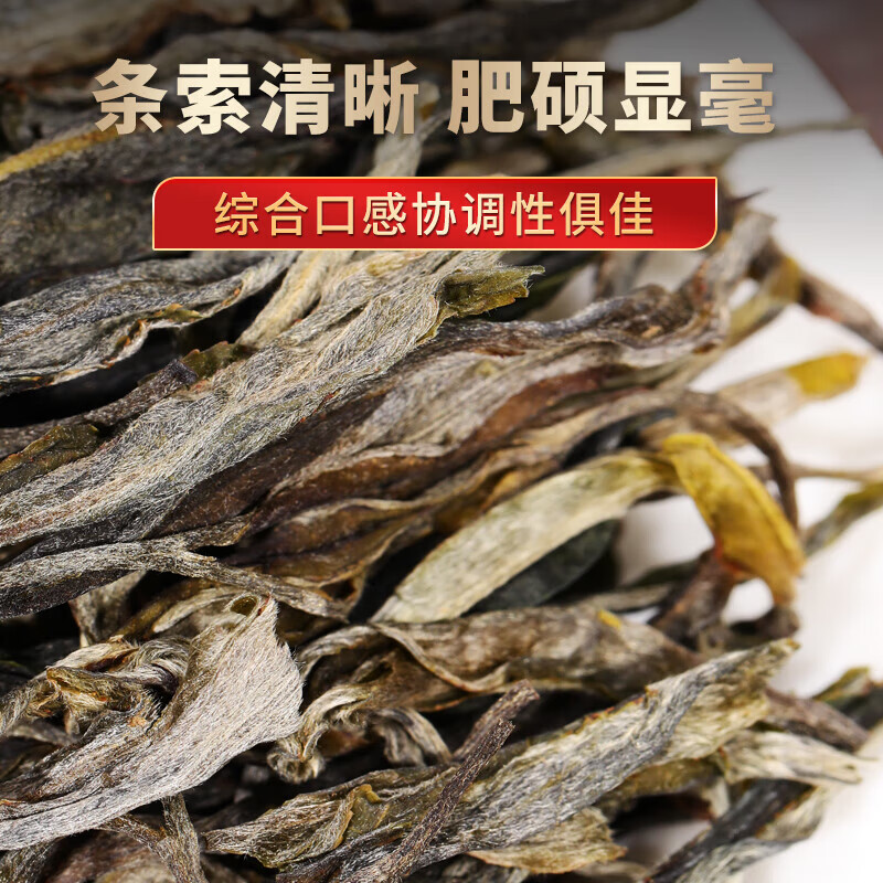 金星满天 老班章普洱茶生茶散茶2024新茶云南勐海布朗山古树春茶生普茶散