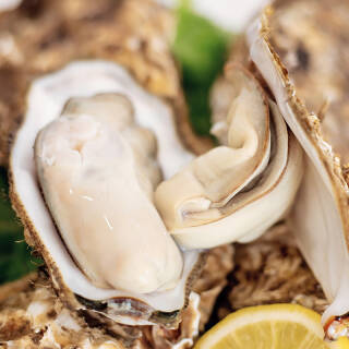 威海乳山生蚝鲜活牡蛎烧烤食材5斤装50100g只约2240只49元包邮需用券