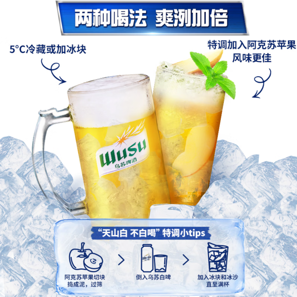 WUSU 乌苏啤酒 白啤酒 500ml*12听