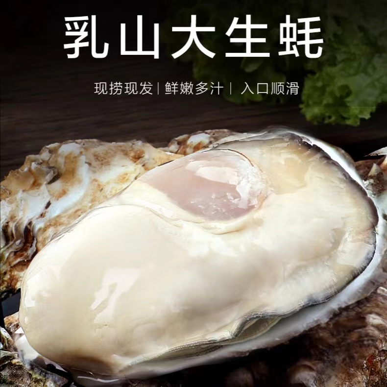 顺丰冷链！乳山生蚝 5XL特大号 5.5斤装 （带官方溯源防伪标识、死蚝包赔）