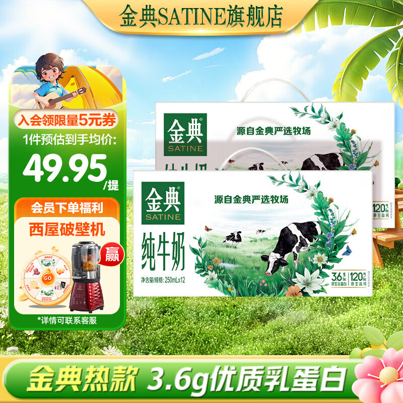 SATINE 金典 纯牛奶 3.6g乳蛋白 原生高钙 整箱送礼 纯牛奶250ml*12盒*2箱 ￥64