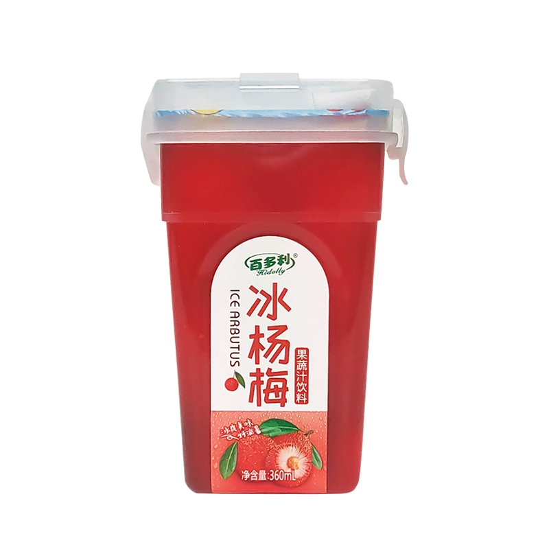 Hidolly 百多利 椰小帽 冰镇杨梅汁 360ml*6瓶装 ￥22.9