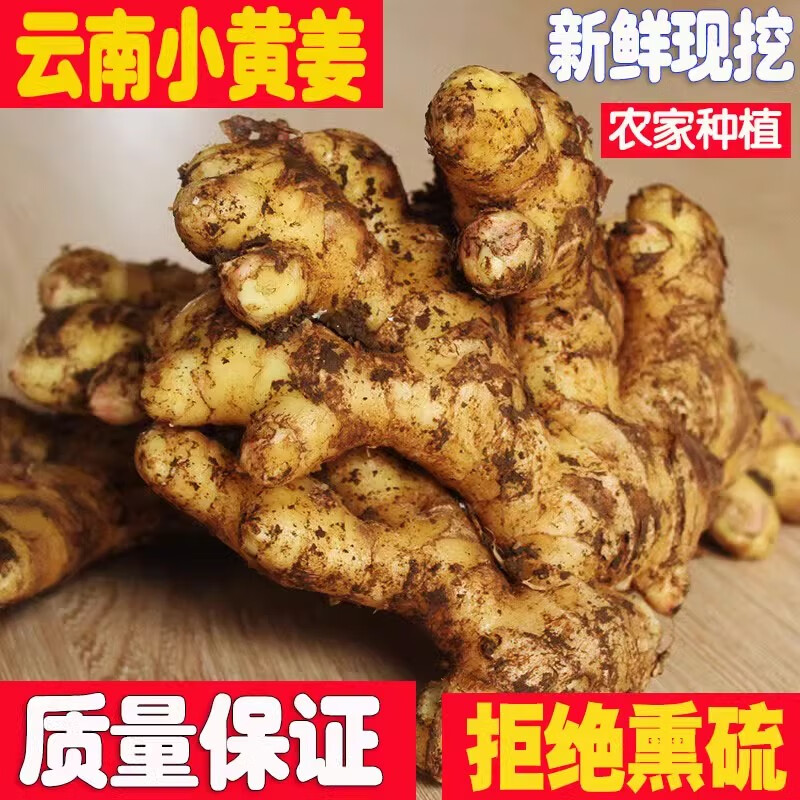 牛爱鲜 云南小黄姜新鲜蔬菜生姜老姜种子现挖沙姜 1000g 带泥土发 13.9元（需