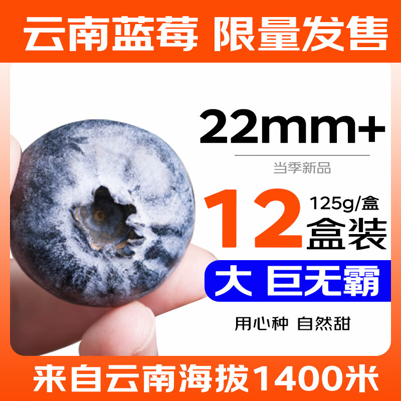 Mr.Seafood 京鲜生 云南蓝莓巨无霸 22mm+ 12盒装 125g/盒 新鲜水果 源头直发 原箱