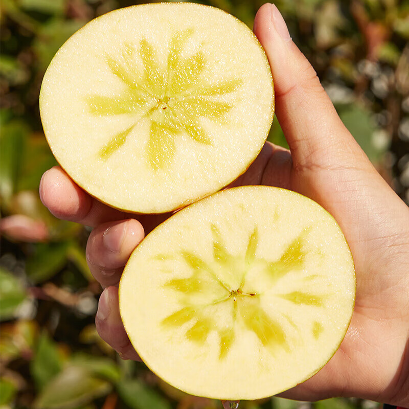 陇百味 果农侠阿克苏冰糖心苹果红富士丑苹果新鲜时令水果整箱礼盒新疆特