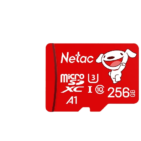 Netac 朗科 JOY TF(MicroSD)存储卡 256GB 89元（需用券）