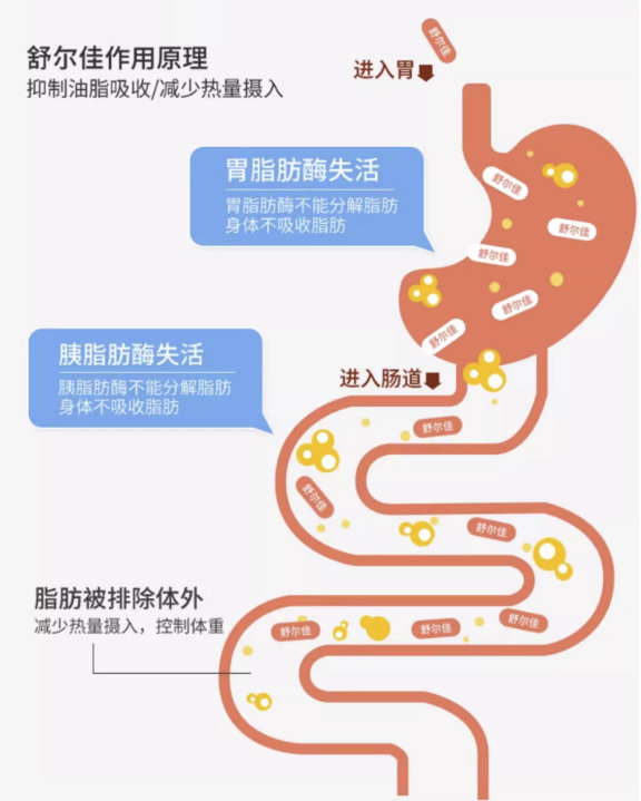 舒尔佳 奥利司他胶囊 14粒*1盒