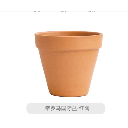 DEROMA 意大利园艺经典国际盆透气种植盆陶土 红陶色 白陶 13cm 9.88元