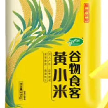 拼多多百亿补贴: 十月稻田 黄小米 真空装 5斤*2件 31.19元（合15.6元/件）