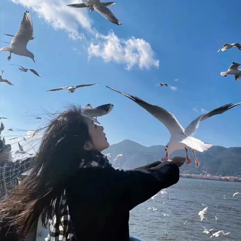 云南旅游 昆明大理丽江 6天5晚 豪华双人游 488元包邮