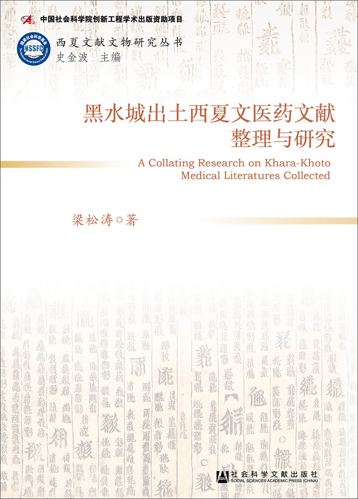 黑水城出土西夏文医药文献整理与研究 54元（需买3件，共162元）