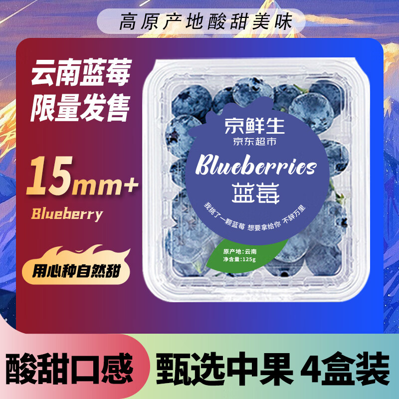 移动端、京东百亿补贴：Mr.Seafood 京鲜生 云南蓝莓 4盒装 125g/盒 15mm+ 44.3元