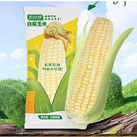 五谷颂 白糯玉米 250g*8支 ￥15.8