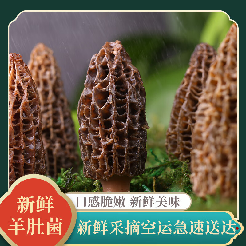 云芳斋 云南新鲜羊肚菌 500g 189元