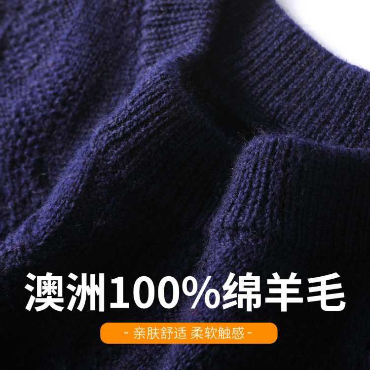 FORTEI 【澳洲100﹪绵羊毛】绞花高级感毛衣男士羊毛衫圆领25年秋冬 125元