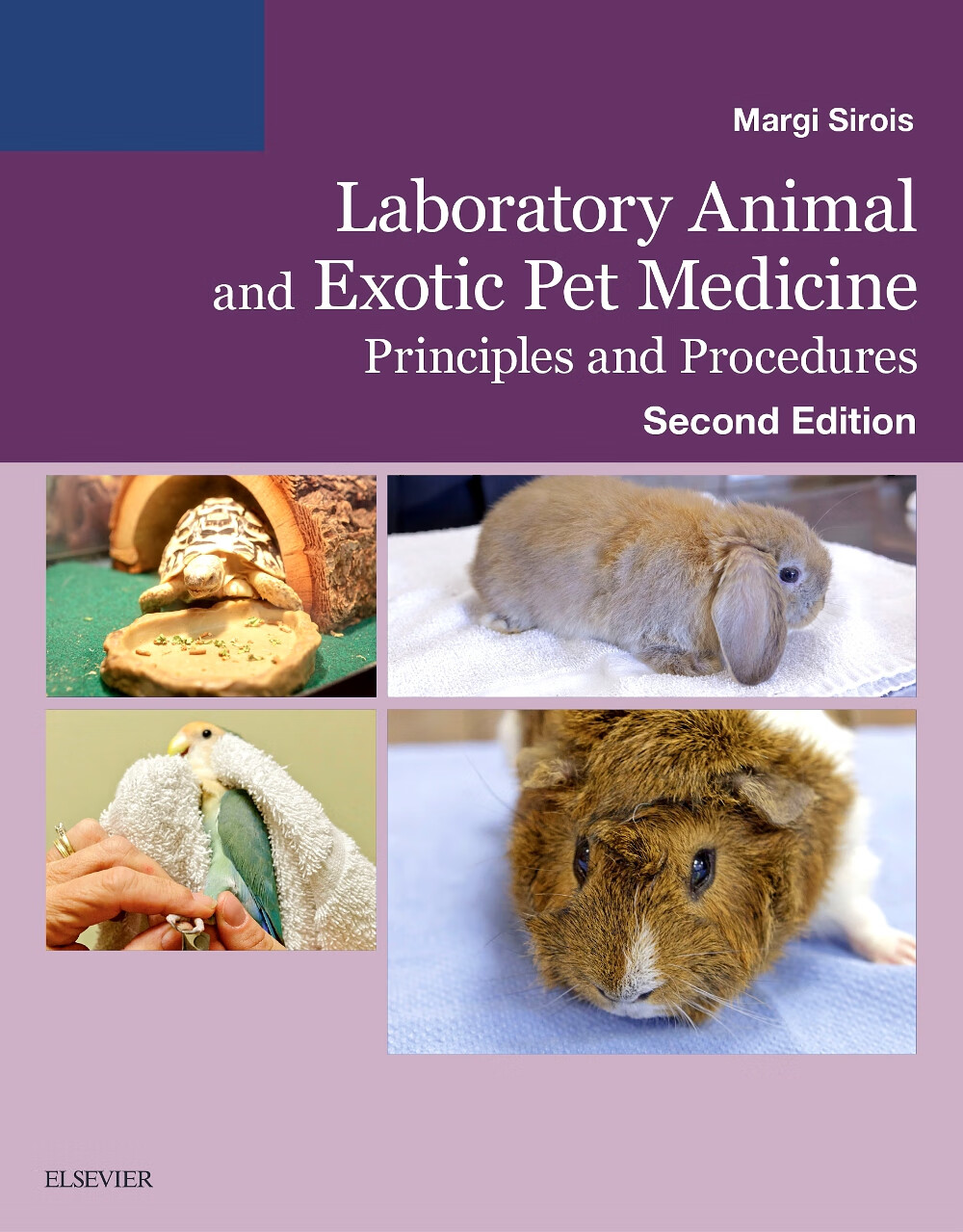 Laboratory Animal and Exotic Pet Medicine 实验动物和外来宠物药物 医学 英文进口原