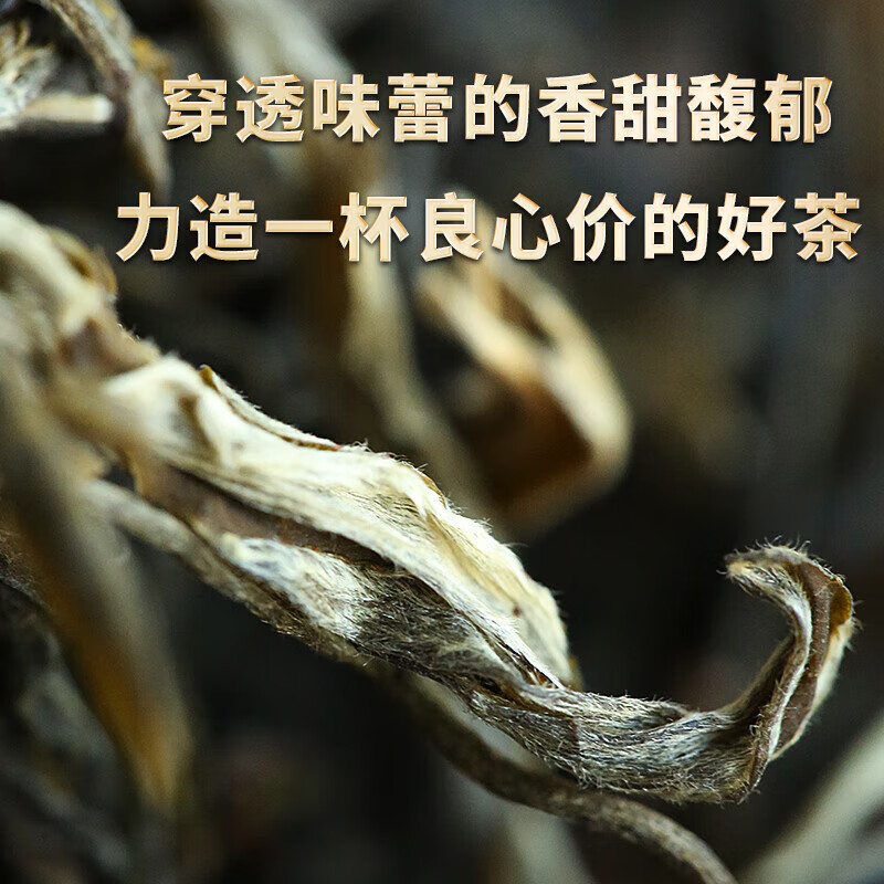 金星满天 冰岛普洱茶生茶散茶2024年新茶云南临沧古树茶生普头春新茶叶 精