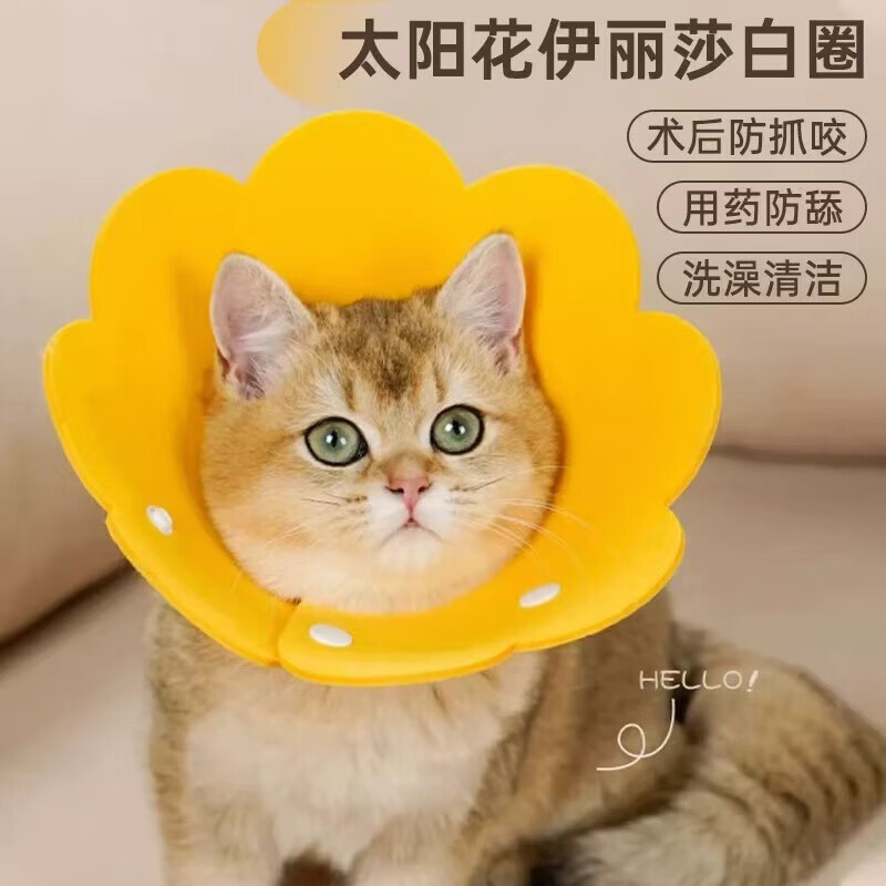 悠梵萌 猫咪伊丽莎白圈脖圈狗项圈太阳花轻薄防舔头套绝育宠物用品防水xl 