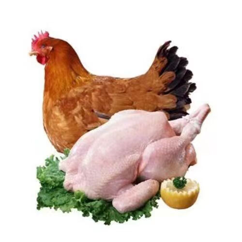 sunner 圣农 正宗山区散养 三黄鸡（650-750g）1 只 22元（需买4件，需用券）