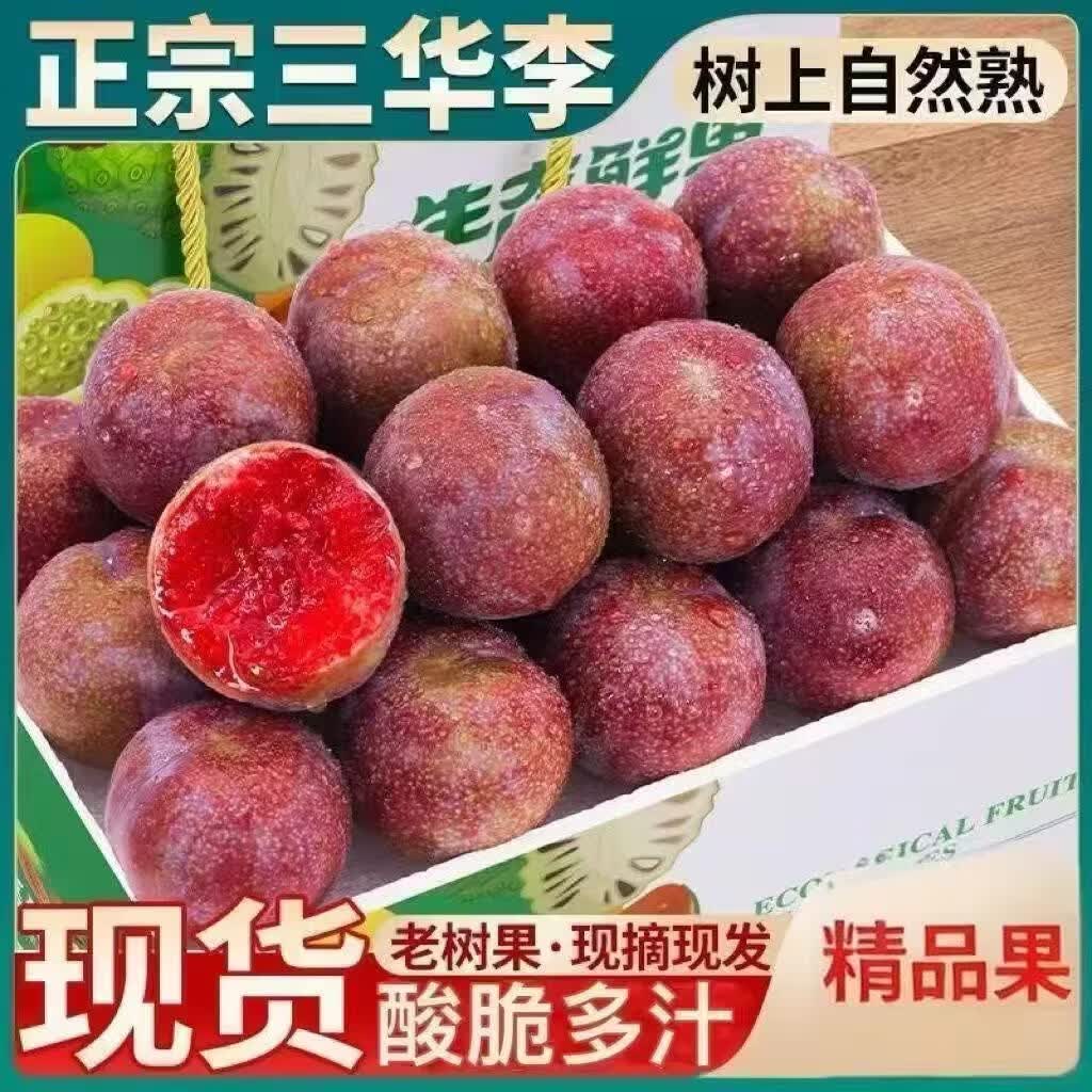 喜酷橙 三华李 红心 当季新鲜酸脆水果 5斤净重4.5斤 精选装单果10g+ 14.8元（
