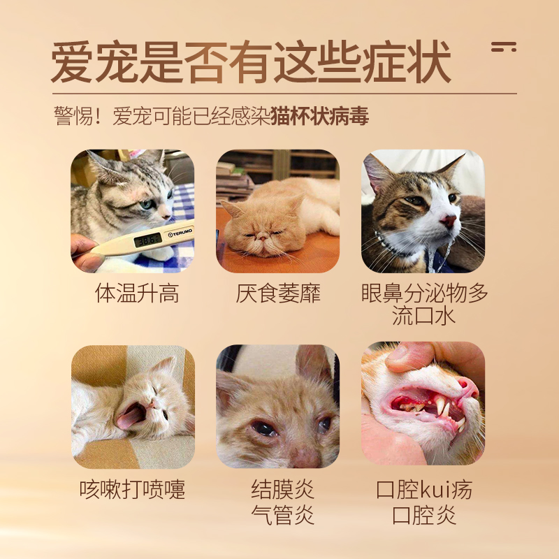 宠莱克 猫杯状试纸猫咪FCV病毒检测卡猫口炎发烧流泪新猫到家检测试纸 29元