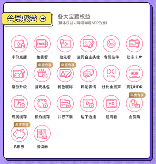 bilibili 哔哩哔哩 超级大会员年卡 支持电视端