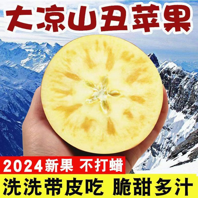 顺丰 四川大凉山 特大果 丑苹果冰糖心 4.5斤装 单果80-90mm 24.94元（需买2件，