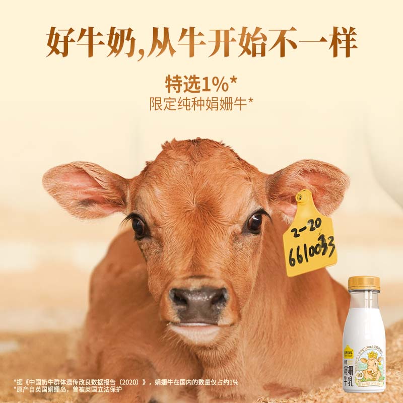 认养一头牛 冷藏娟姗牛乳新鲜低温奶10瓶装配送高钙营养 79.9元（需用券）