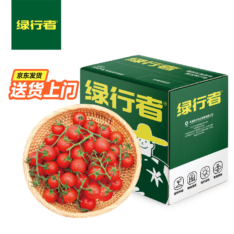GREER 绿行者 樱桃番茄2kg500g*4盒 源头直发串爽脆甜小西红柿生鲜水果 29.6元
