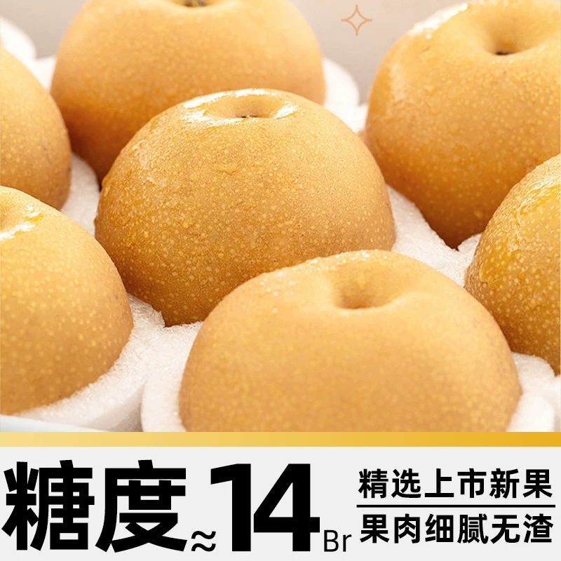 寻天果蔬 秋月梨正宗山东新鲜阳莱梨子羊脂级大果时令正品水果 25.55元 - 线报酷