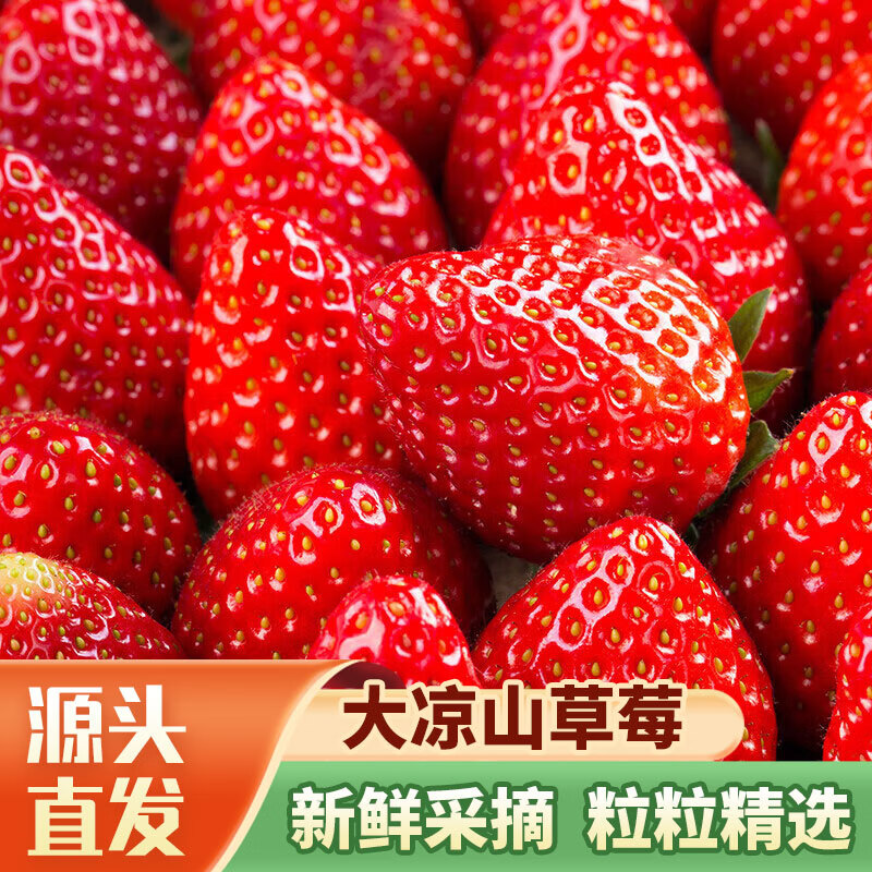 鲁禧海岸 大凉山草莓新鲜现摘净重500g 19.9元