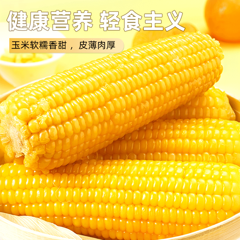 现摘东北黄糯玉米 200g*10根 15.9元