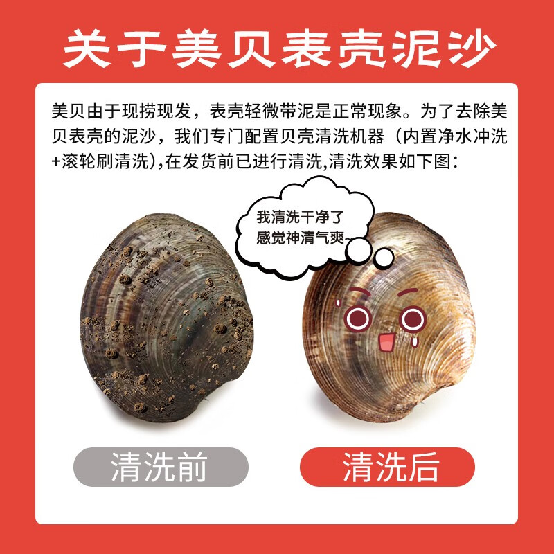 鲜京采 鲜活美贝 17-22粒/斤 净重5斤 蛤蜊生鲜海鲜 源头直发 27.9元 - 86线报