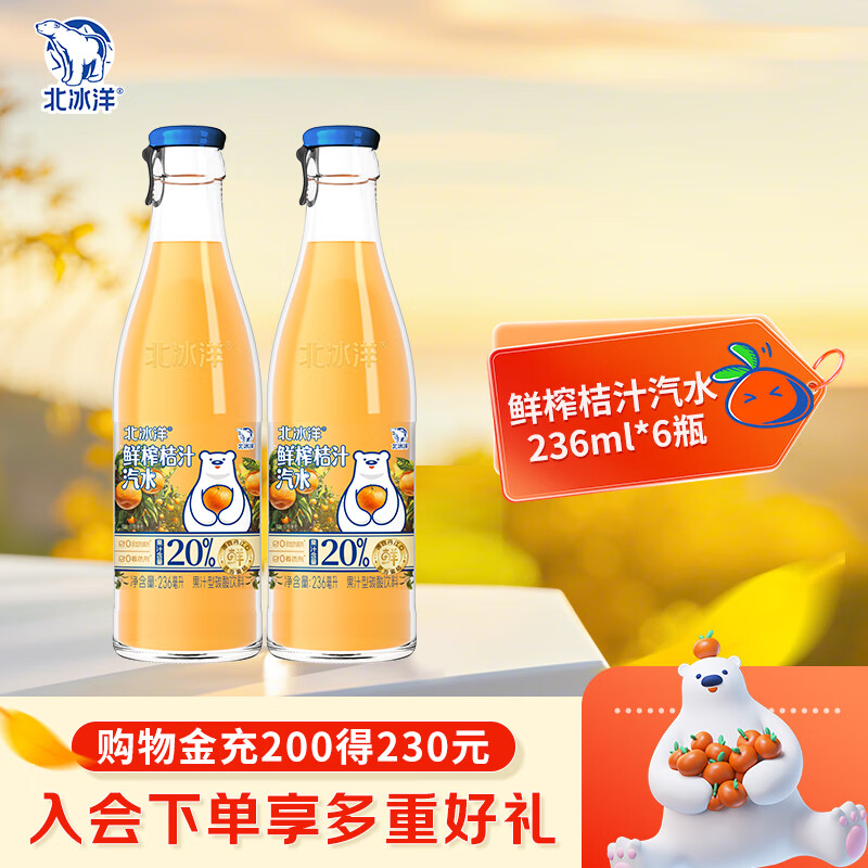 北冰洋 Plus：北冰洋 老北京玻璃瓶果汁碳酸饮料 236ml*6瓶 22.26元（需买2件，