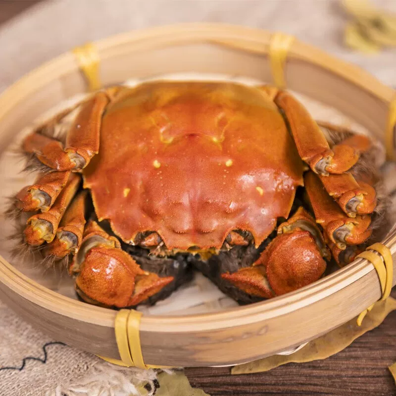 阳澄湖 【活蟹】阳澄格调【精品全母】2.5-2.2两 6只礼盒 94.05元包邮 - 线报酷