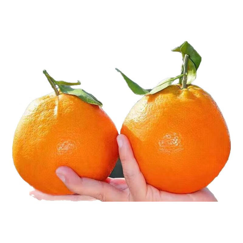 MPPMCK 9斤装 特大果 单果80mm+ 四川春见耙耙柑 35.99元（需用券）