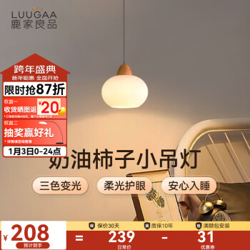 LUUGAA 鹿家良品 柿子小吊灯 18cm 12W ￥207.93