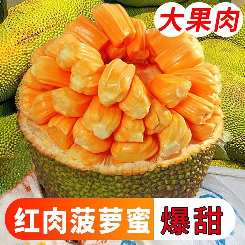 智洲 泰八 红肉菠萝蜜 大果10-12斤 69.8元（需用券）