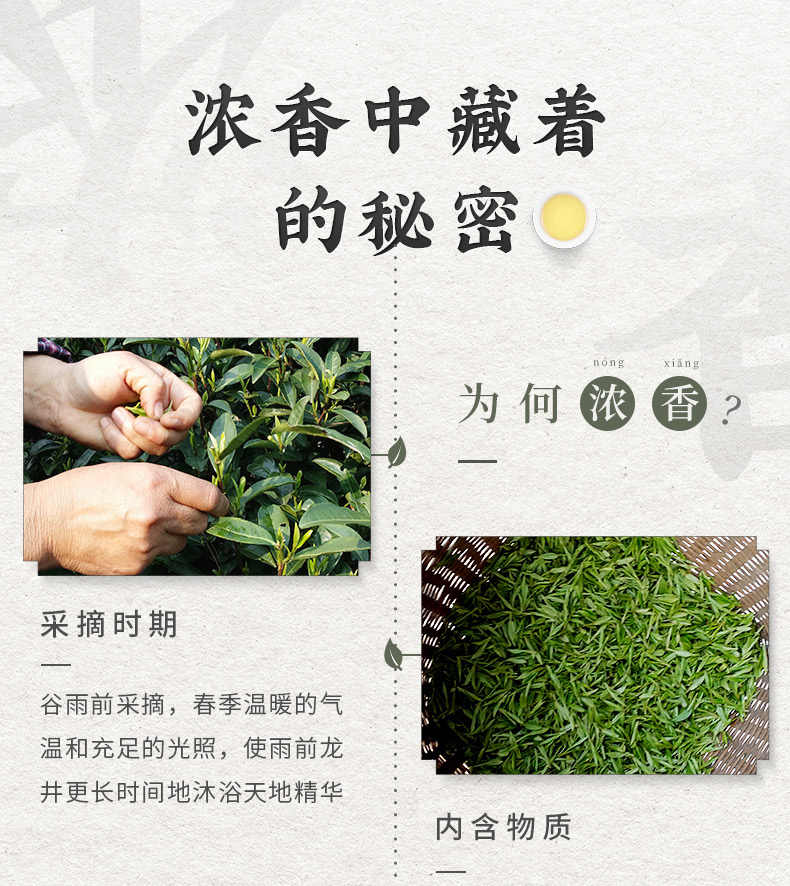 2020新茶，梅府茗家 雨前西湖龙井 250g 双重优惠后28元包邮 买手党-买手聚集的地方