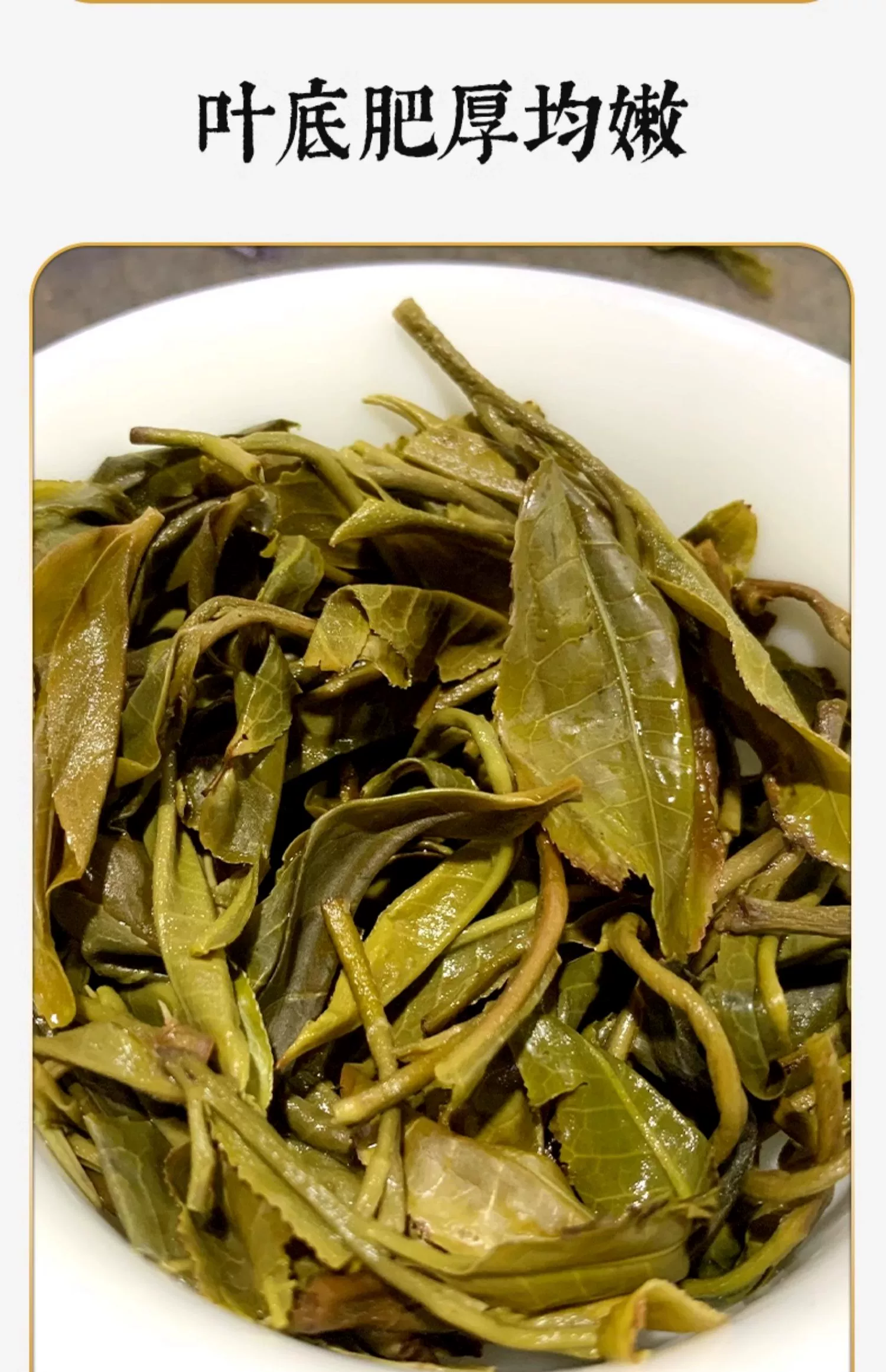 云南省重点龙头企业,土林凤凰 8503系列 2023年 1985大红印普洱茶生茶