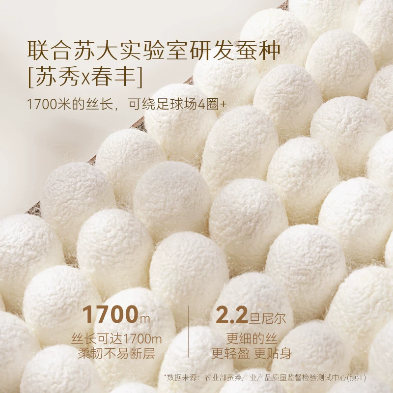 太湖雪 100%桑蚕丝二合一子母被 534.65元 - 线报酷
