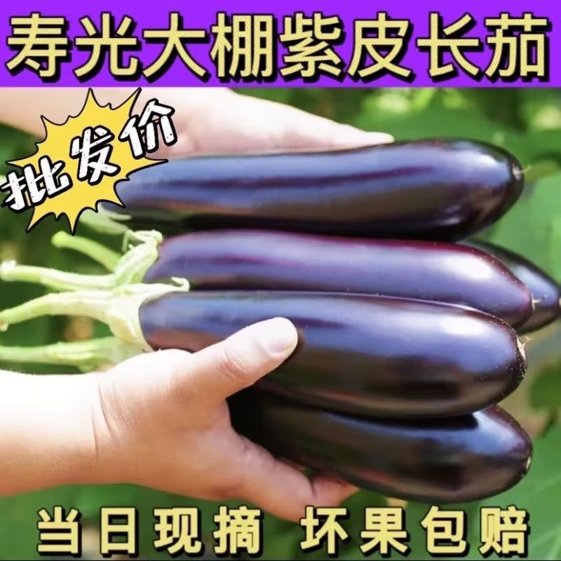 山东紫皮长茄现摘现发买菜新鲜蔬菜生鲜 山东紫皮长茄 2斤 带箱 1.99元 - 线报酷