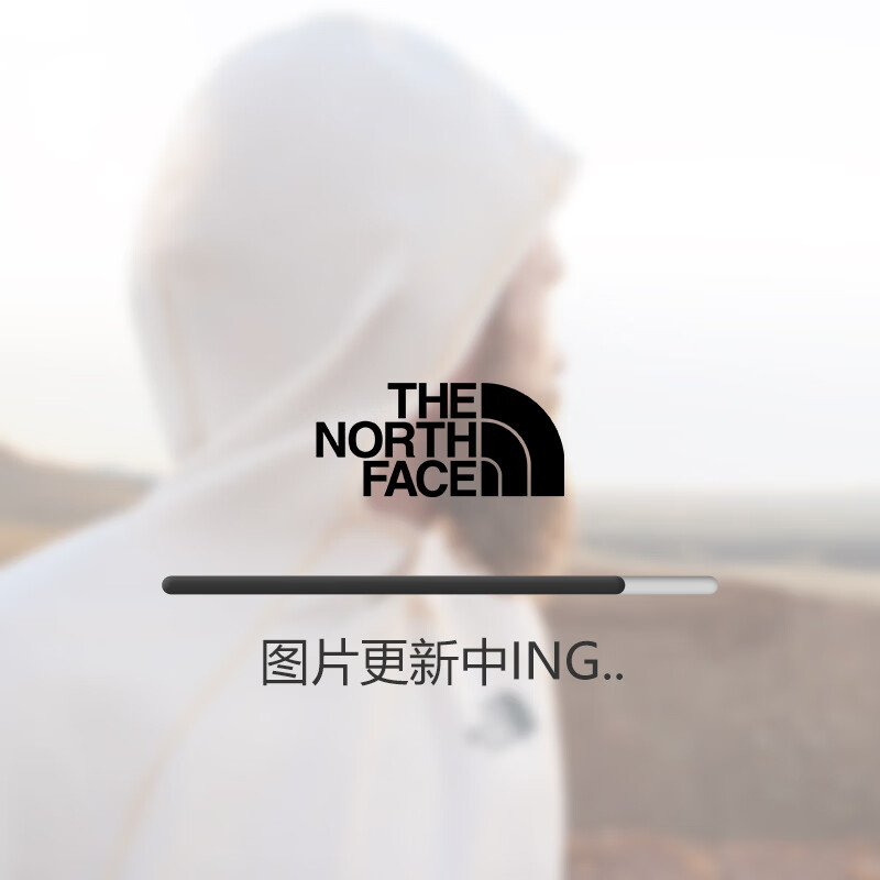 THE NORTH FACE 北面 羽绒服男户外轻量防泼水保暖700蓬鹅绒填充 89ZR JK3 XL/180 1195