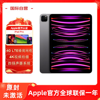 Apple 苹果 iPad Pro 11英寸平板电脑 2020年款 512G 蜂窝版 深空灰 原封未激活苹果