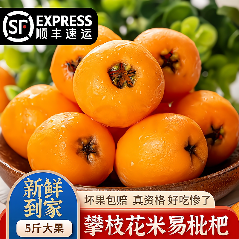 今日特价！米易枇杷 5斤装 特大果（40-50g）+顺丰 45元（需用券）