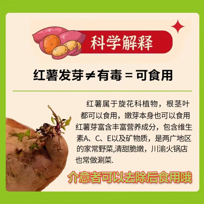 京鲜生 山东临沂 紫罗兰紫薯5斤 紫心 地瓜 轻食新鲜蔬菜 源头直发 紫薯5斤装 京东快递 13.89元 - 清风线报
