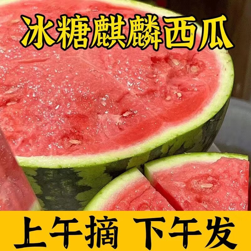 水果蔬菜 麒麟西瓜 4-5斤 30.36元（需用券）