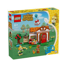 百亿补贴：LEGO 乐高 积木影视游戏系列77049西施惠欢迎来我家玩具新年礼物 2